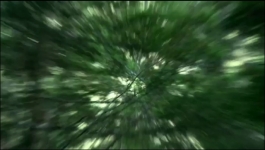 Gold Rush White Water - Season 04 Episode 10